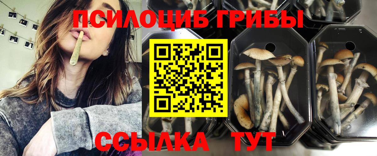 Галлюциногенные грибы Cubensis  Вход с VPN  Галлюциногенные грибы мицелий  Саянск 